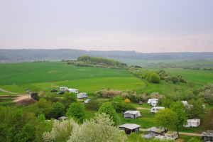 DSC_6226